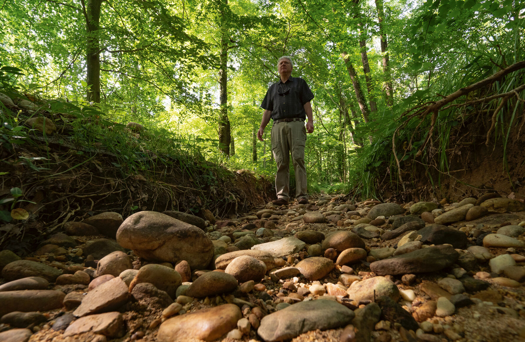 Stream gully cut by erosion